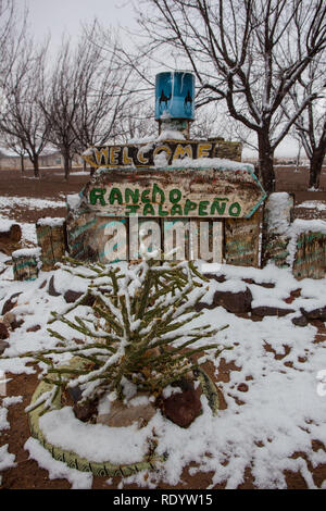 A splattering of snow around desert plants in the Mesilla Valley of New Mexico Stock Photo