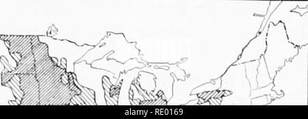 . Essentials of biology presented in problems. Biology. &lt;:. WHEAT ^, ,^ E^/rft'.V t'-lO hu^^cJsper 20U3IV nvk  ^^ orer ti40 . , , .. Please note that these images are extracted from scanned page images that may have been digitally enhanced for readability - coloration and appearance of these illustrations may not perfectly resemble the original work.. Hunter, George William, 1873-1948. New York, Cincinnati [etc. ] American Book Company Stock Photo