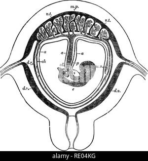 A text-book of comparative physiology for students and