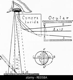 . The microscope; an introduction to microscopic methods and to histology. Microscopes. CH. /'] DRAWING WITH THE MICROSCOPE 125 upper one. A small oval hole is then cut out of the center of the sil- vered surface and the two prisms are cemented together in the form of the original cube with a perforated 45 degree mirror within it (Fig. 109, a b). The upper surface of the cube is covered by a perforated metal plate. This cube is placed over the ocular in such a way that the light from the microscope passes through the hole in the silvered face and thence directly to the eye. Light from the draw Stock Photo