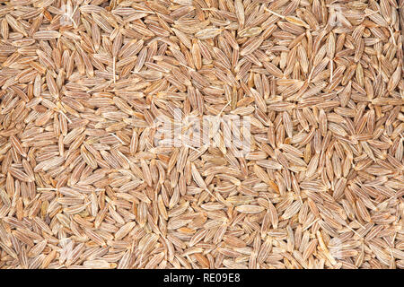 Cumin seeds texture, full frame background. Most popular spice in the world for your unique project. Stock Photo