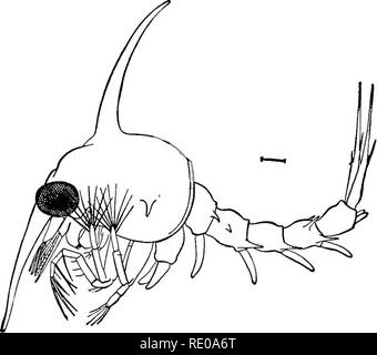 . Zoology for high schools and colleges. Zoology. '360- ZOOLOGY. the ...