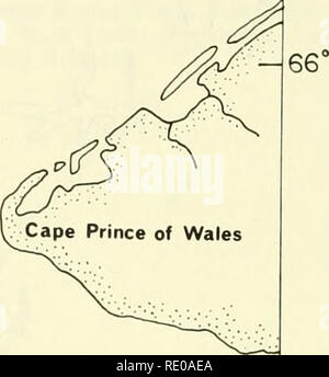 . An Ecological survey in the eastern Chukchi Sea : September-October 1970. Marine ecology -- Chukchi Sea; Oceanography -- Chukchi Sea; Chukchi Sea. The Diomedes  Transect 42. 25 miles 170° 168° Figure 2.—Transect 42 through Bering Strait during daylight hours of 18 Oct. 1970. 130. Please note that these images are extracted from scanned page images that may have been digitally enhanced for readability - coloration and appearance of these illustrations may not perfectly resemble the original work.. United States. Coast Guard. Oceanographic Unit; Ingham, Merton C. , 1930-. Washington, D. C. :  Stock Photo