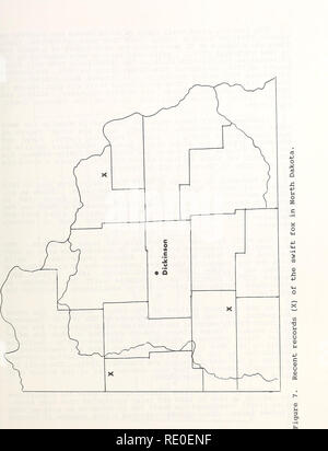 . An ecological and taxonomic review of the swift fox (Vulpes velox) with special reference to Montana. Foxes; Kit fox. 11. Please note that these images are extracted from scanned page images that may have been digitally enhanced for readability - coloration and appearance of these illustrations may not perfectly resemble the original work.. FaunaWest Wildlife Consultants (Firm); Montana. Department of Fish, Wildlife, and Parks. [Mont. ] : The Dept. Stock Photo