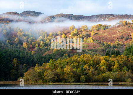 Mist shrouded autumn colours on Loch Faskally near Pitlochry, Perthshire, Scotland Stock Photo