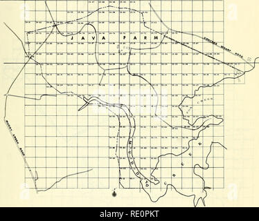 . An ecologically annotated checklist of the vascular flora at the Chesapeake Bay Center for Field Biology, with keys. Chesapeake Bay Center for Field Biology; Ecology; Botany. HECTARE COORDINATES OF JAVA FARM. Please note that these images are extracted from scanned page images that may have been digitally enhanced for readability - coloration and appearance of these illustrations may not perfectly resemble the original work.. Smithsonian Institution. Office of Ecology; Higman, Daniel. Washington, Smithsonian Institution Stock Photo