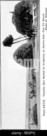 . Arid agriculture; a hand-book for the western farmer and stockman. Dry farming; Irrigation. . Please note that these images are extracted from scanned page images that may have been digitally enhanced for readability - coloration and appearance of these illustrations may not perfectly resemble the original work.. Buffum, Burt C. , 1868-. [Worland, Wy. ] The Author Stock Photo