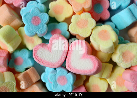Two Pink and White Heart Shaped Marshmallows on the Heap of Pastel Flower Shaped Marshmallows Stock Photo