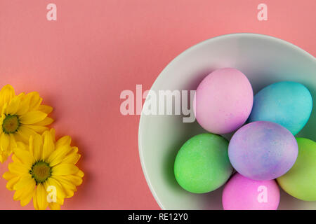 Overhead view of pastel painted easter eggs in a white bowl with daisies on pink background Stock Photo
