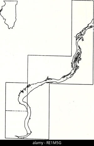 . Ecological structure and function of major rivers in Illinois &quot;large river LTER&quot; : 1985 progress report. Ecology; Ecology; Long term ecological research. Fig, 19, Plot of Pool 19 shows the location of Nauvoo Quadrangle 1-40. Please note that these images are extracted from scanned page images that may have been digitally enhanced for readability - coloration and appearance of these illustrations may not perfectly resemble the original work.. Sparks, Richard E; Illinois. Natural History Survey Division. Aquatic Biology Section; National Great Rivers Research and Education Center - N Stock Photo