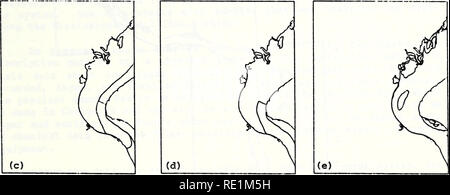 . Ecological structure and function of major rivers in Illinois &quot;large river LTER&quot; : 1985 progress report. Ecology; Ecology; Long term ecological research. ^ Jlgc 18, Computer generated maps of Nauvoo Quadrangle, Pool 19, depicting quadrangle outline (a), water-land boundaries (b),^ and overlays of bed materials (c), biological habitats (d),' and vegetative beds (e). 1-39. Please note that these images are extracted from scanned page images that may have been digitally enhanced for readability - coloration and appearance of these illustrations may not perfectly resemble the original  Stock Photo