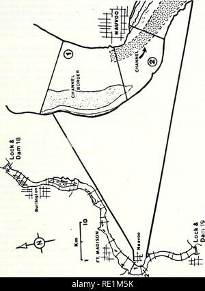 . Ecological structure and function of major rivers in Illinois &quot;large river LTER&quot; : 1985 progress report. Ecology; Ecology; Long term ecological research. en m •H c o -H o ^ PL, ca 00 bO m 1-35. Please note that these images are extracted from scanned page images that may have been digitally enhanced for readability - coloration and appearance of these illustrations may not perfectly resemble the original work.. Sparks, Richard E; Illinois. Natural History Survey Division. Aquatic Biology Section; National Great Rivers Research and Education Center - NGRREC. Havana, Ill. : River Res Stock Photo