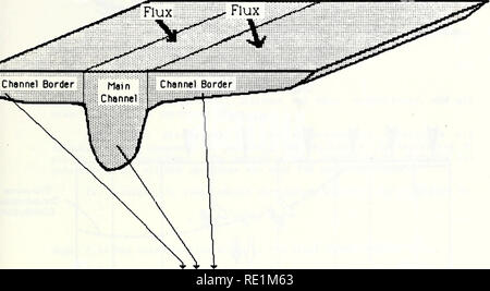 . Ecological structure and function of major rivers in Illinois &quot;large river LTER&quot; : 1985 progress report. Ecology; Ecology; Long term ecological research. depth, width, area, velocity, discharge. volume Fig. 9. Main channel and channel border compartments. 1-23. Please note that these images are extracted from scanned page images that may have been digitally enhanced for readability - coloration and appearance of these illustrations may not perfectly resemble the original work.. Sparks, Richard E; Illinois. Natural History Survey Division. Aquatic Biology Section; National Great Riv Stock Photo