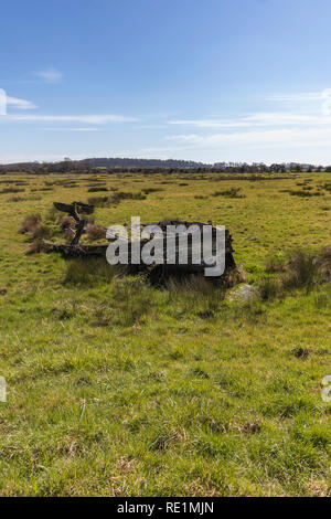 Rural views across the West Sussex downland featuring a boat in the middle of a field Stock Photo