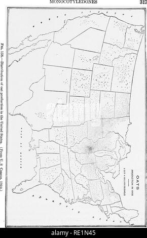 . College botany; structure, physiology and economics of plants. Botany. MONOCOTYLEDONES. Please note that these images are extracted from scanned page images that may have been digitally enhanced for readability - coloration and appearance of these illustrations may not perfectly resemble the original work.. Cook, Melville Thurston, 1869-1952. Philadelphia and London, J. B. Lippincott Company Stock Photo