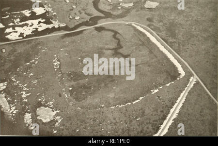 . Ecological investigations of the tundra biome in the Prudhoe Bay region, Alaska. Tundra ecology. 60. Aerial oblique of U.S. Tundra Biome study area. (See Plate 1.) Fertilizer runoff plots appear in upper portion of photograph between stream and snowdrift. Scott Parrish. Please note that these images are extracted from scanned page images that may have been digitally enhanced for readability - coloration and appearance of these illustrations may not perfectly resemble the original work.. Brown, Jerry, 1936-. [Fairbanks : University of Alaska] Stock Photo