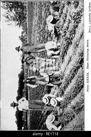 . Arid agriculture; a hand-book for the western farmer and stockman. Dry farming; Irrigation. . Please note that these images are extracted from scanned page images that may have been digitally enhanced for readability - coloration and appearance of these illustrations may not perfectly resemble the original work.. Buffum, Burt C. , 1868-. [Worland, Wy. ] The Author Stock Photo