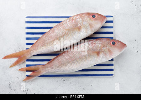 Fresh red mullet fish on striped rectangular plate on white stone background, top view Stock Photo