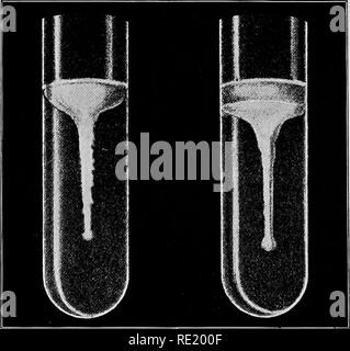 https://l450v.alamy.com/450v/re200f/a-text-book-upon-the-pathogenic-bacteria-and-protozoa-for-students-of-medicine-and-physicians-bacteriology-pathogenic-bacteria-protozoa-582-the-finkler-and-prior-spirillum-scum-is-usually-formed-upon-the-surface-the-more-extensive-and-more-rapid-liquefaction-of-the-medium-the-wider-top-to-the-funnel-the-absence-of-the-air-bubble-and-the-clouded-nature-of-the-liquefied-material-all-serve-to-differ-entiate-the-culture-from-the-cholera-spirillum-agar-agarupon-agar-agar-the-growth-is-also-rapid-and-in-a-short-time-the-whole-surface-of-the-culture-medium-is-covered-with-a-moist-th-re200f.jpg