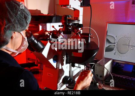 Icsi Lab Artificial insemination using the ICSI method, intracytoplasmic sperm ...