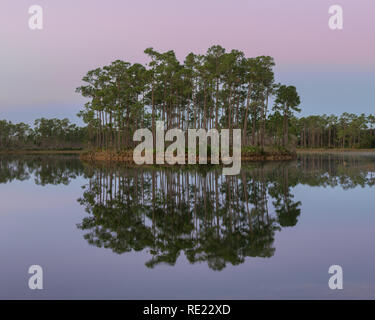 Dawn at Long Pine Key Lake in Everglades National Park near Homestead, Florida Stock Photo