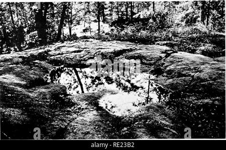 . Golf clubs as bird sanctuaries. Birds; Golf courses. GOLF CLUBS AS BIRD SANCTUARIES BIRD BATHS. Photo from R. B. Thompson A NATURAL BIRD-BATH This hollow in the rocks fills with rain water and provides a natural bathing pool for woodland nymphs safe from prying eyes.. Please note that these images are extracted from scanned page images that may have been digitally enhanced for readability - coloration and appearance of these illustrations may not perfectly resemble the original work.. National Audubon Society. New York Stock Photo