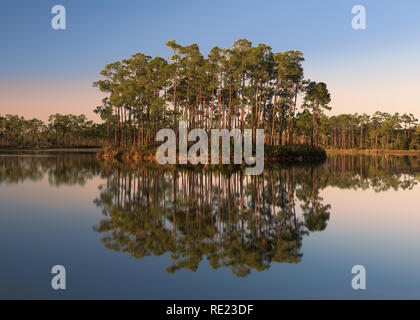 Dawn at Long Pine Key Lake in Everglades National Park near Homestead, Florida Stock Photo