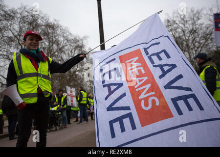 London, UK. 19th Jan 2019. Yellow Vest protsters march around London Credit: George Cracknell Wright/Alamy Live News Stock Photo