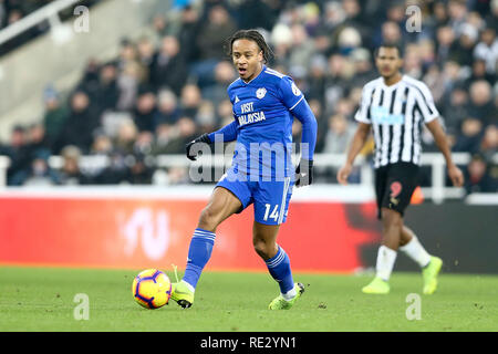 Newcastle, UK. 19th Jan 2019. Bobby Reid of Cardiff City in action. Premier League match, Newcastle United v Cardiff City at St. James' Park in Newcastle upon Tyne,  on Saturday 19th January 2019.  this image may only be used for Editorial purposes. Editorial use only, license required for commercial use. No use in betting, games or a single club/league/player publications. pic by Chris Stading/Andrew Orchard sports photography/Alamy Live news Stock Photo