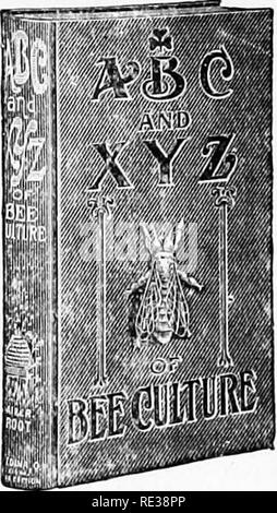 . Fifty years among the bees . Bees. BOOKS ON BEEKEEPING The beekeeper who would be down to date and progressive will find in a recount of the experiences of others the very suggestions he needs for saving time and money. Very few other occupations have been blest with so many well-written books covering the pursuit in its many different phases. To beekeepers are offered authoritative works at a minimum of expense, and the opportunity to gain knowledge in this satisfying way should not be neglected. For the benefit of those who wish to purchase other books on beekeeping —covering the subject i Stock Photo