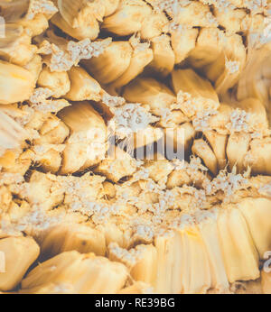 Jackfruit Flesh (Artocarpus heterophyllus).Sitcky latex. Jackfruit texture -  Canavieiras,Bahia,Brazil. Stock Photo