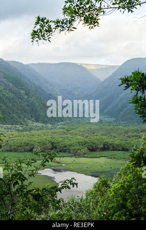 Lush Polulu Valley on the Big Island of Hawaii Stock Photo