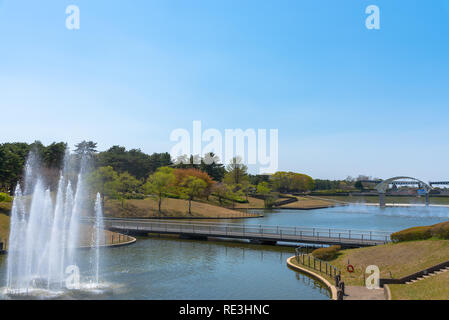 Hitachi Seaside Park in Ibaraki Prefecture of Japan Stock Photo