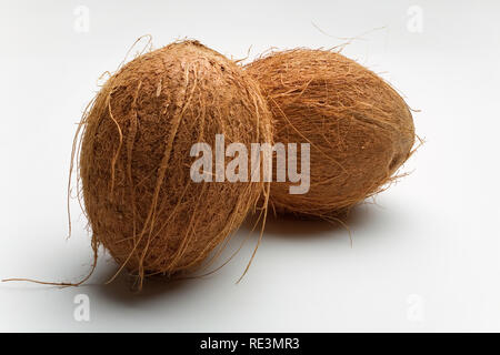 Two whole coconuts on white background Stock Photo
