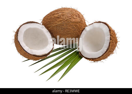 Fresh coconut broken in half with leaves isolated on white background Stock Photo