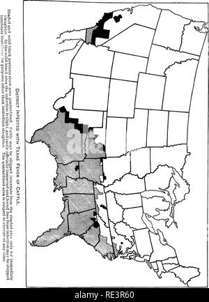 . Special report on diseases of cattle . Cattle. Diseases of Cattle. Plate Li.. Please note that these images are extracted from scanned page images that may have been digitally enhanced for readability - coloration and appearance of these illustrations may not perfectly resemble the original work.. United States. Bureau of Animal Industry; Atkinson, V. T. (Vickers T. ), d. 1891. Washington : Govt. Print. Off. Stock Photo