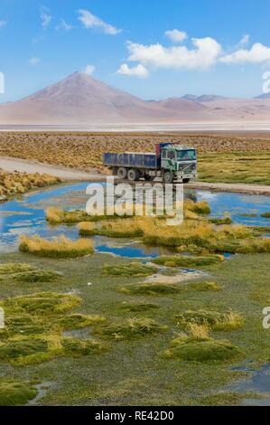 Laguna Colorada, Red Lagoon, Altiplano shallow salt lake, Potosi, Bolivia, South America Stock Photo