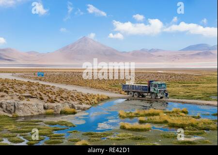 Laguna Colorada, Red Lagoon, Altiplano shallow salt lake, Potosi, Bolivia, South America Stock Photo