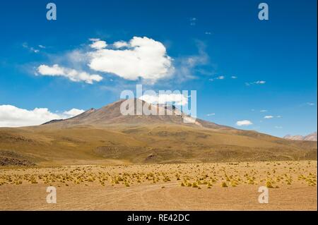 Bolivian Altiplano landscape, Potosi, Bolivia, South America Stock Photo