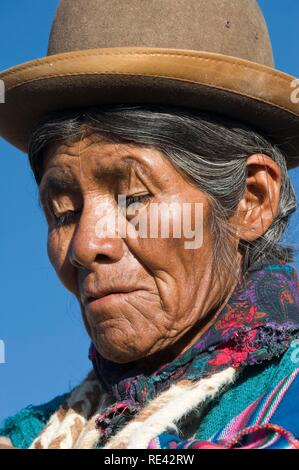 Llama Herdswoman wearing a bowler hat also called Bombin, San Juan, Potosi, Bolivia, South America Stock Photo