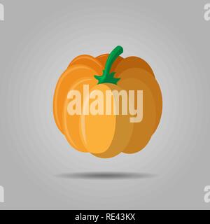 Orange pumpkin vector illustration. Autumn halloween pumpkin, vegetable graphic icon or print, isolated on gray background. 10 eps Stock Vector