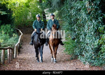 Mounted police patrolling in a wooded area, hiking trail Stock Photo