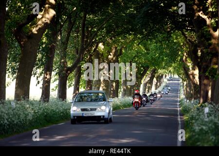 Country road, avenue, part of the Deutsche Alleenstrasse German Avenue Road, between Granitz and Putbus, Ruegen island Stock Photo