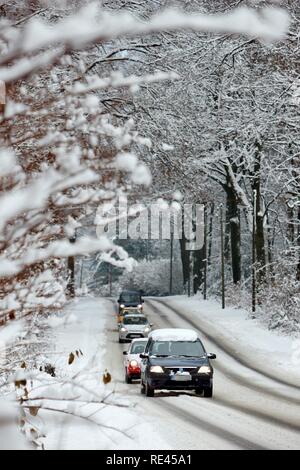 Snow-covered country road in a forest, winter road conditions, Essen, North Rhine-Westphalia Stock Photo