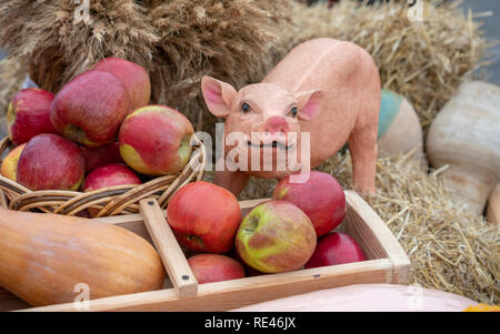 Clay pig on hay with apples, composition. Stock Photo