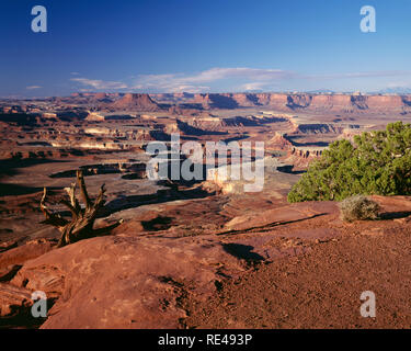 USA, Utah, Canyonlands National Park, View from Green River Overlook with twisted, steep-walled canyon about 2000 ft. below, Island in the Sky Distric Stock Photo