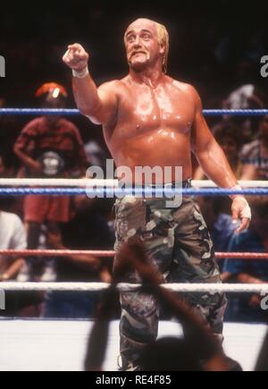 Hulk Hogan 1990 Photo By John Barrett/PHOTOlink Stock Photo