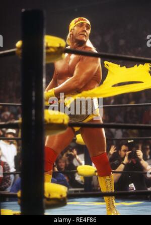 Hulk Hogan 1990 Photo By John Barrett/PHOTOlink.net /MediaPunch Stock ...