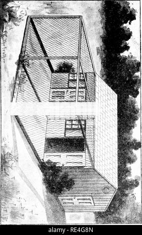 . The Feather's practical pigeon book. Pigeons. r H n o 2^ o c en O. 31. Please note that these images are extracted from scanned page images that may have been digitally enhanced for readability - coloration and appearance of these illustrations may not perfectly resemble the original work.. Long, J. C. Washington, D. C. , Geo. E. Howard Stock Photo