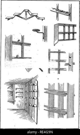 . The Feather's practical pigeon book. Pigeons. ALL KINDS OF PERCHES FOR PIGEONS T,?. Please note that these images are extracted from scanned page images that may have been digitally enhanced for readability - coloration and appearance of these illustrations may not perfectly resemble the original work.. Long, J. C. Washington, D. C. , Geo. E. Howard Stock Photo